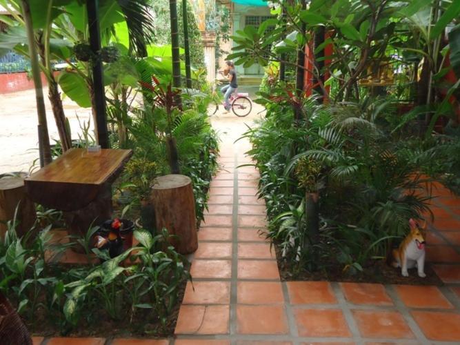 Ladybug Guesthouse Siem Reap Exterior photo