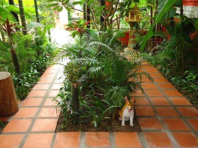 Ladybug Guesthouse Siem Reap Exterior photo